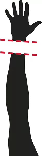1279258.jpg