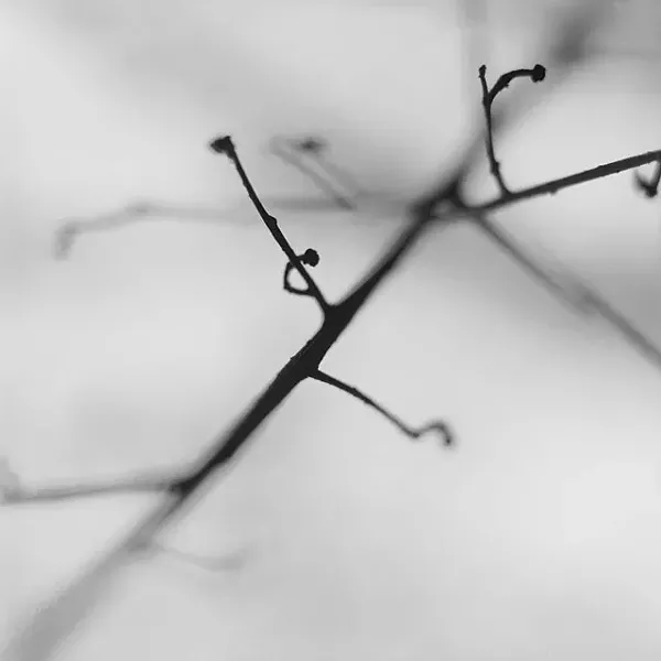 Eric Breitenbach, "Untitled"