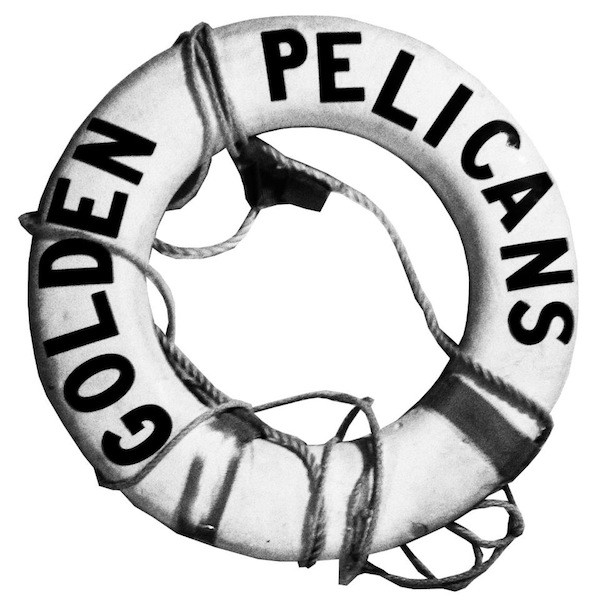the-week-sel-golden-pelicansjpg