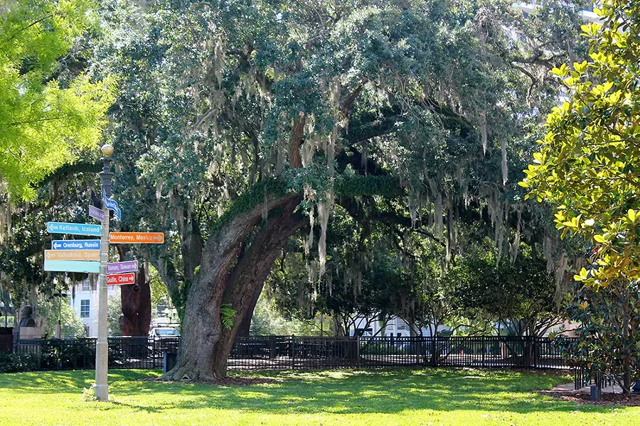 Lake Eola Park - PHOTO BY ASHLEY BELANGER