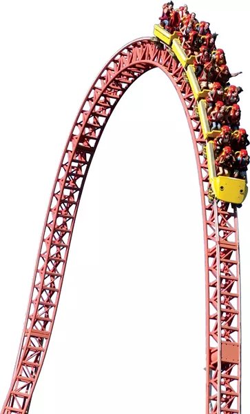 1239262.jpg