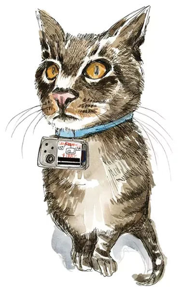 ILLUSTRATION BY WENDY MACNAUGHTON