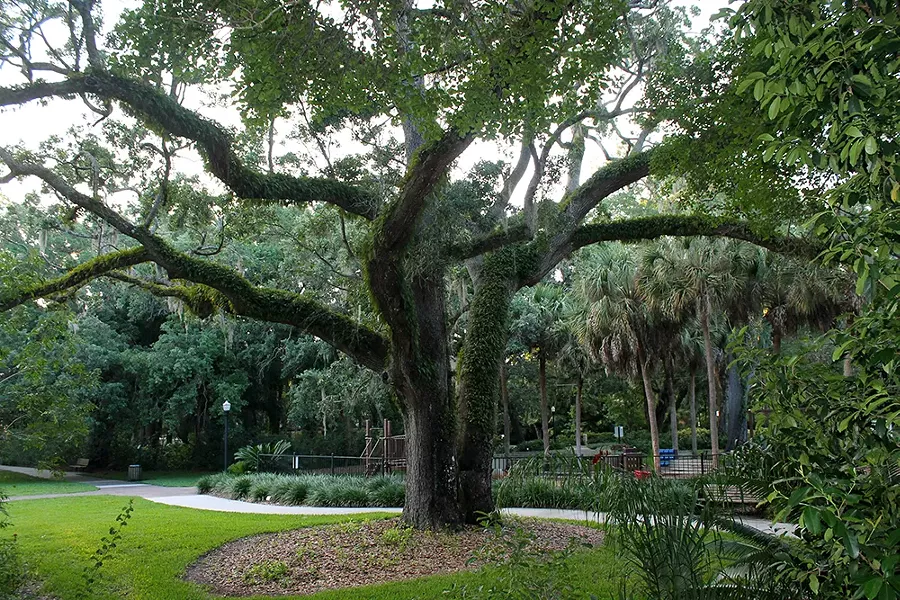 Mayor Carl T. Langford Park - PHOTO BY ASHLEY BELANGER