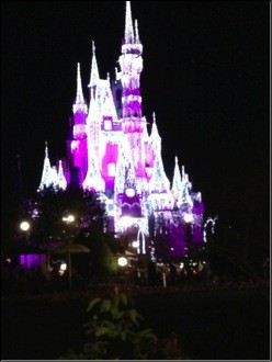 Oh, and an icicle-lit Cinderella Castle.