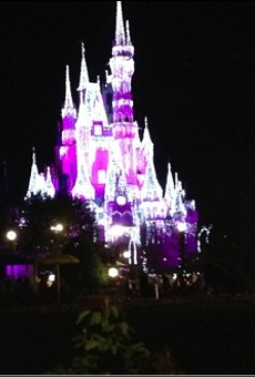 Oh, and an icicle-lit Cinderella Castle.
