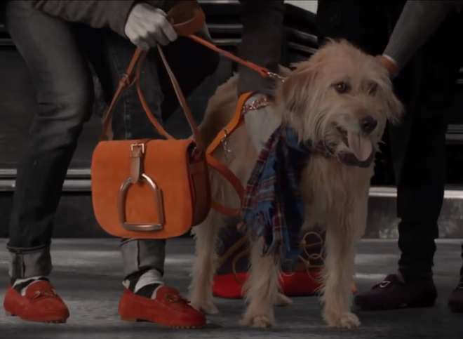 ralph lauren dog leash