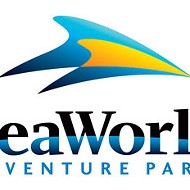 Shareholders file class action suit against SeaWorld
