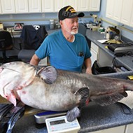 Florida man gets screwed out of record books after catching monster catfish
