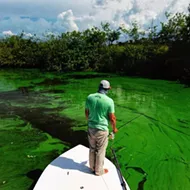 Watch this video of the effects from Lake Okeechobee's toxic discharge