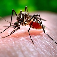 Florida Zika cases increase to 14, including one in Osceola County