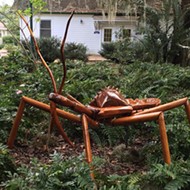 Exploring the Big Bug Invasion at Harry P. Leu Gardens