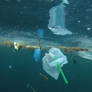 Florida Gov. Ron DeSantis vetoes bill that bans cities from banning plastic straws