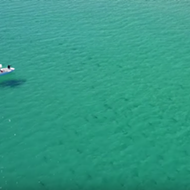 Drone video shows thousands of sharks migrating off Florida coast