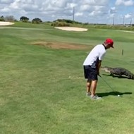 Central Florida golfer keeps golfing, despite 7-foot gator walking next to him
