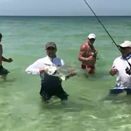 Man catches 33-inch fish off Florida coast using Publix fried chicken as bait
