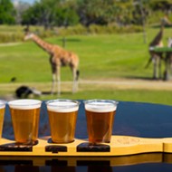 Busch Gardens' new ‘Giraffe Bar’ opens next week, featuring views of the Serengeti plain