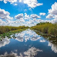 Florida Senate's proposed $6.1 billion spending plan includes sea-level rise mitigation, Everglades protection