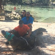 Officials remove 13-foot gator from swim area at Florida spring