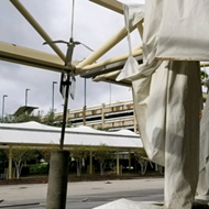 Here's how to find out if your Publix is open | Blogs