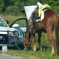 You can get a DUI on a horse in Florida