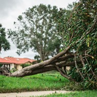 Florida is still spending $2 million a week to clean up Hurricane Irma water debris