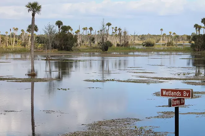 Feel like you're a million miles away from civilization at Orlando Wetlands Park - ASHLEY BELANGER
