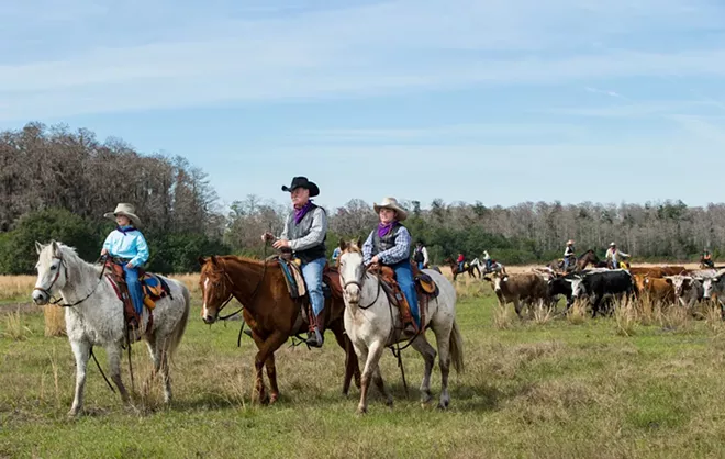 Left to right: Max Coggins, 8, his grandfather and trail boss Mike Wilder, and - twin brother, Rhett Coggins, lead hundreds of Cracker cows and riders toward - the arena in Kenansville on Jan. 30. Many families brought their kids - to participate in the Great Florida Cattle Drive so they could get a taste - of what it was like to be a Florida cow hunter living and working in - the 1800s. The drive re-creates the challenges, hardships and good times - for modern-day Floridians to experience. - View a complete gallery of photos of the drive here