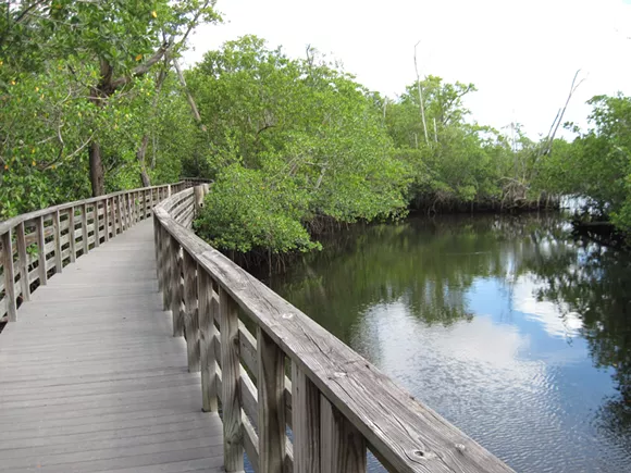 Florida residents are fed up with people having sex in Florida residents are fed up with people having sex in