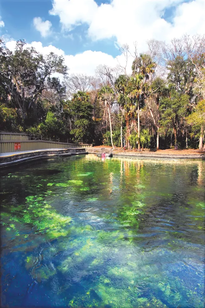 Wekiwa Springs State Park - PHOTO VIA ADOBE STOCK