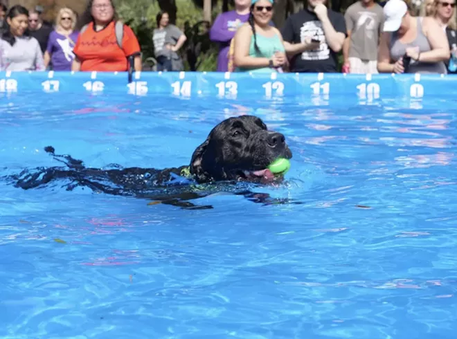 PHOTO COURTESY PAWS IN THE PARK