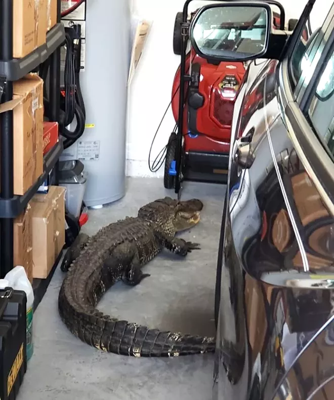 PHOTO VIA NORTH PORT POLICE DEPARTMENT/FACEBOOK