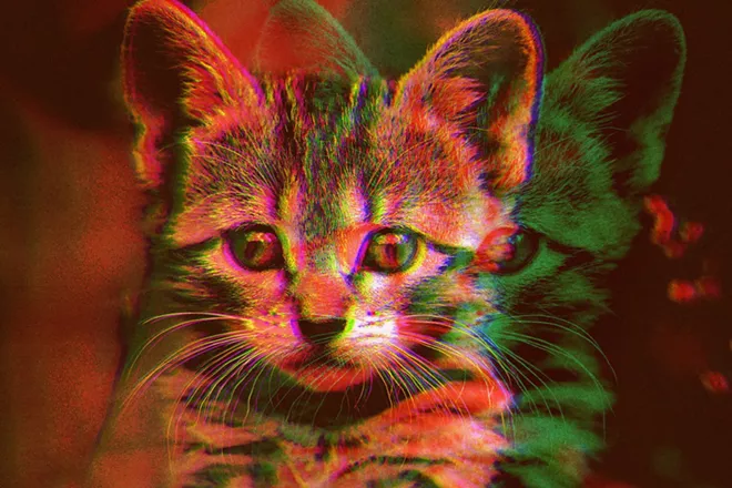 Stream movies, support Enzian. - PHOTO COURTESY CATVIDEOFEST