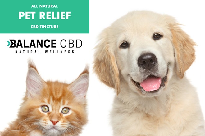 Unknown Facts About Cbd For Pets – Revive Essential Oils