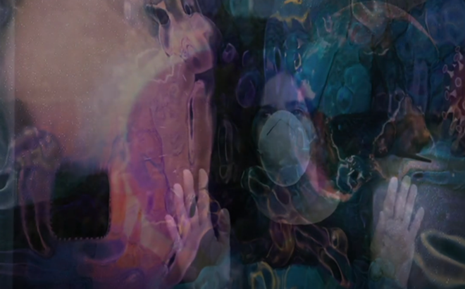 SCREEN CAPTURE FROM 'COVID 19: COGNITIVE DISSONANCE' BY CECILIA SUHR,