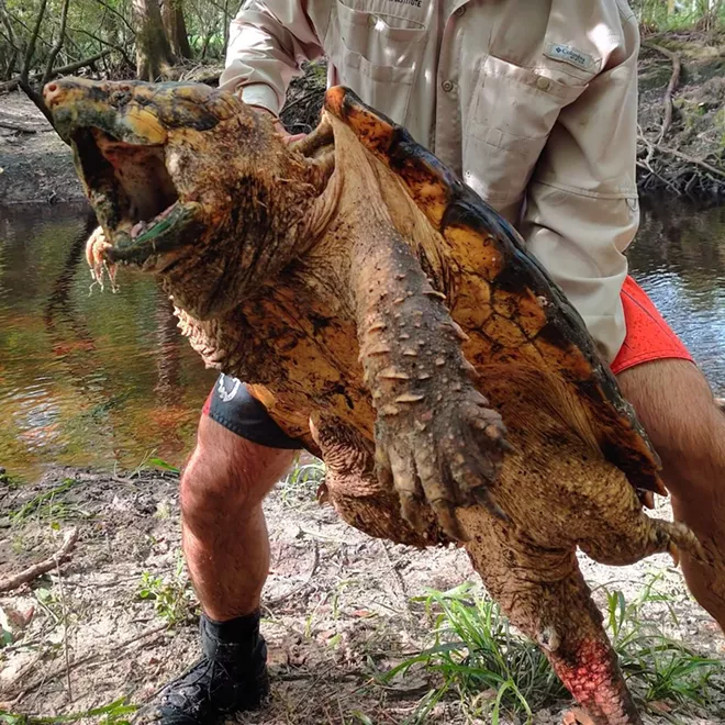 PHOTO COURTESY FWC/FACEBOOK