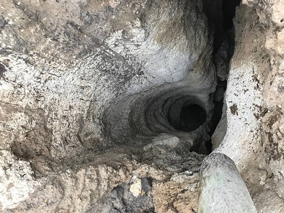Rescuers Save Florida Pug From 30 Foot Sinkhole Blogs