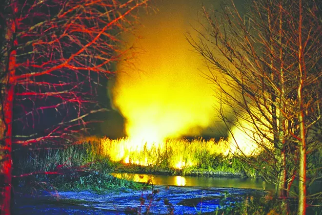 A brushfire burns near Highway 50 outside Titusville, March 15 - PHOTO BY JOEY ROULETTE