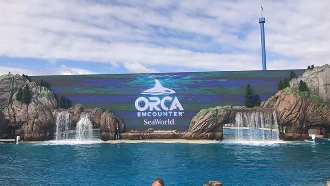 Orca Encounter show at SeaWorld San Diego points to the future of all orcas  at SeaWorld | Blogs