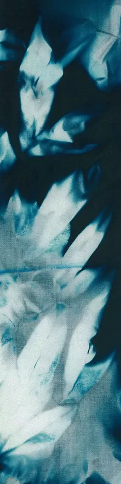 DAWN ROE, "CLOTH LEFT 2 DAYS AT CEMETERIO DE PORTBOU"