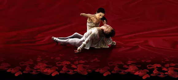 Orlando ballet coupons