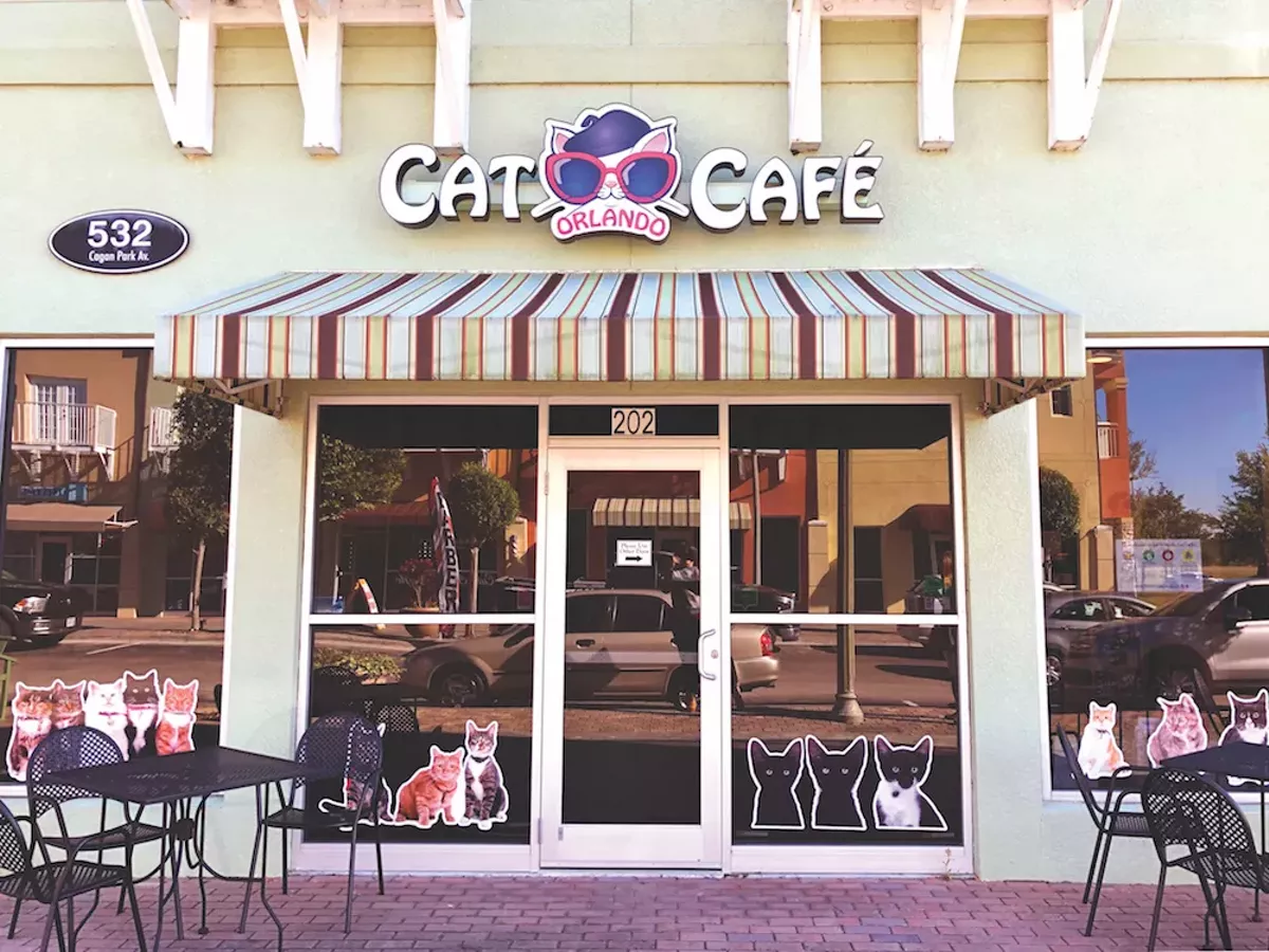 Lose yourself in a day trip to the quaint Clermont 