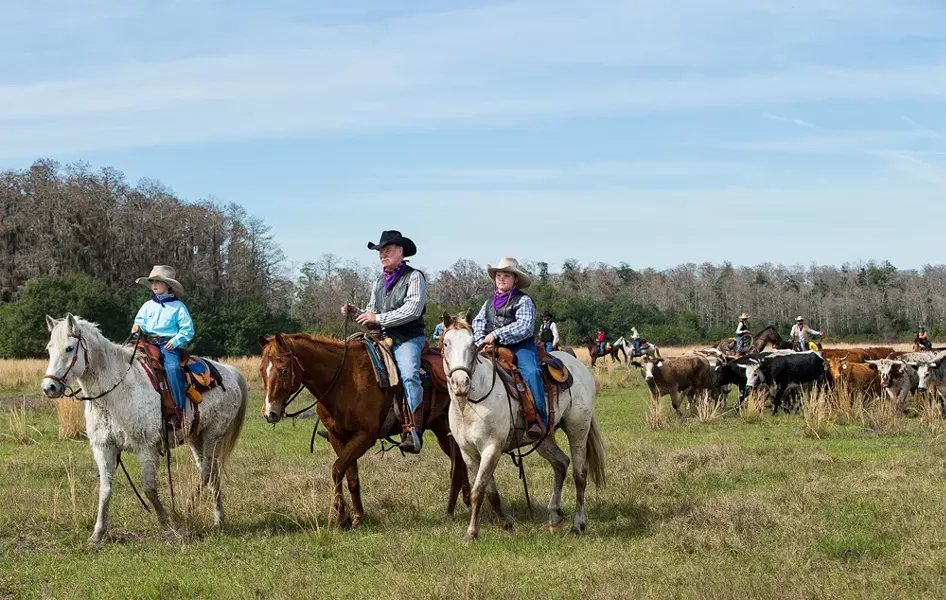 Left to right: Max Coggins, 8, his grandfather and trail boss Mike Wilder, and - twin brother, Rhett Coggins, lead hundreds of Cracker cows and riders toward - the arena in Kenansville on Jan. 30. Many families brought their kids - to participate in the Great Florida Cattle Drive so they could get a taste - of what it was like to be a Florida cow hunter living and working in - the 1800s. The drive re-creates the challenges, hardships and good times - for modern-day Floridians to experience. - View a complete gallery of photos of the drive here
