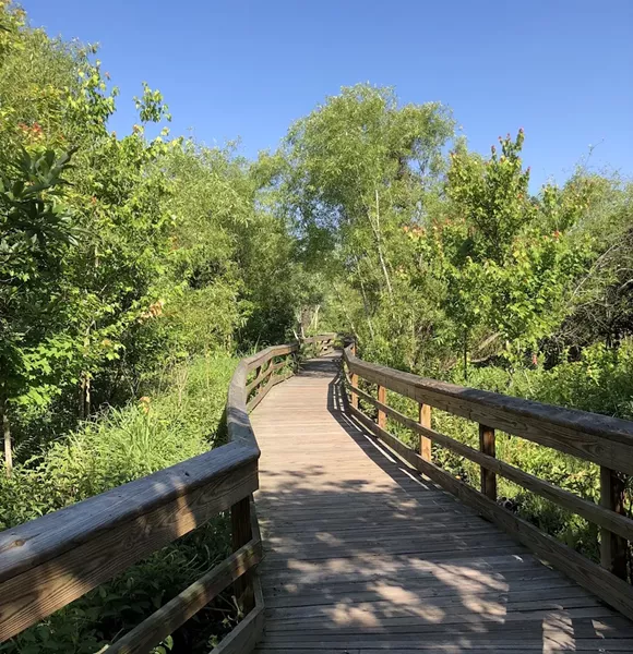 MEAD GARDEN / PHOTO COURTESY CITY OF WINTER PARK