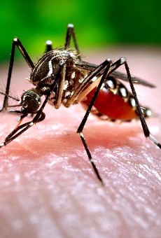Florida Zika cases increase to 14, including one in Osceola County