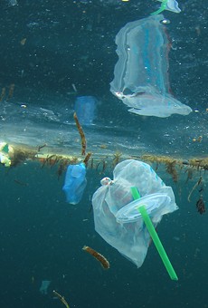 Florida lawmakers vote to ban cities from banning plastic straws