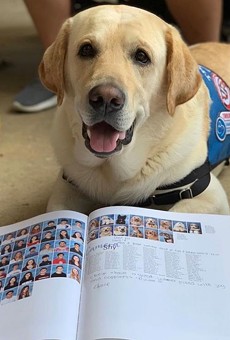 Marjory Stoneman Douglas High School's Florida therapy dogs get their own yearbook page