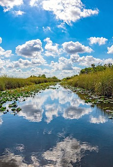 Florida is buying 20,000 acres of Everglades to protect it from oil drilling