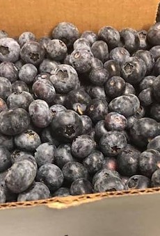 King Grove Blueberries