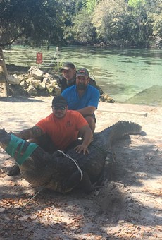 Officials remove 13-foot gator from swim area at Florida spring