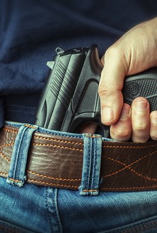 Gun bills silenced in committee before Florida's 2018 legislative session